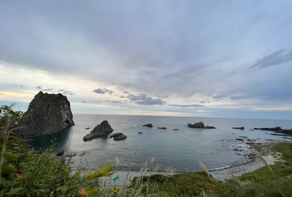 島武意海岸の写真・動画_image_543057