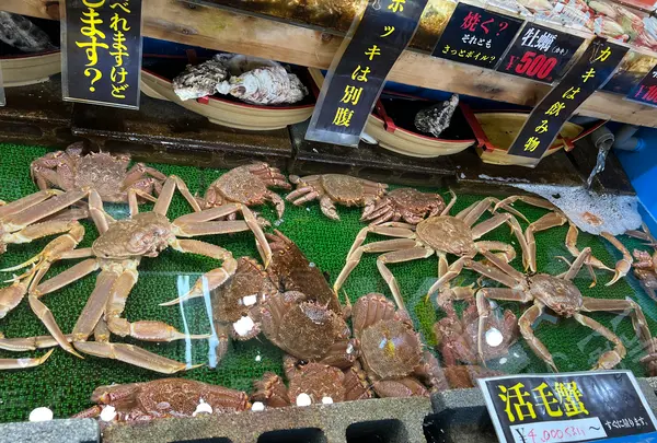 三角市場の写真・動画_image_543069