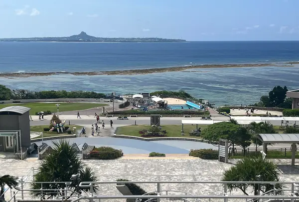 沖縄美ら海水族館の写真・動画_image_543093