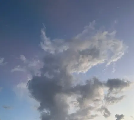 ANAインターコンチネンタル万座ビーチリゾートの写真・動画_image_543102