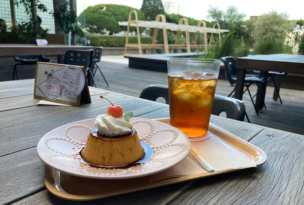 家と庭の写真・動画_image_543319