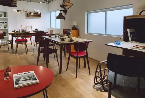 stoopの写真・動画_image_543566