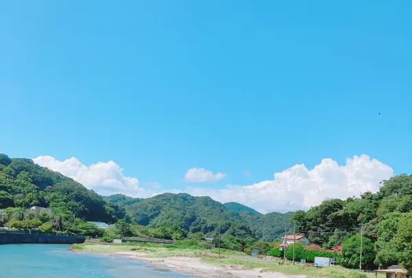 吉佐美大浜海水浴場の写真・動画_image_543701