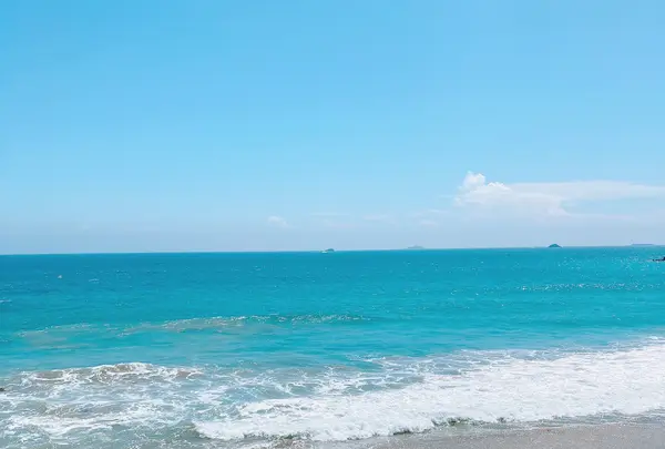 吉佐美大浜海水浴場の写真・動画_image_543702