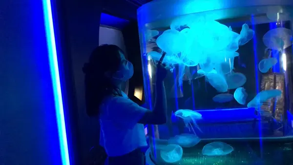 四国水族館の写真・動画_image_544457