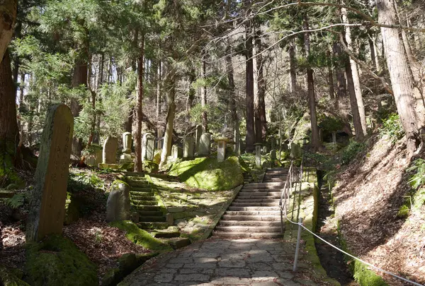 山寺の写真・動画_image_544534