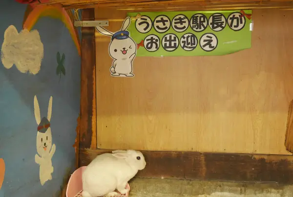 宮内駅の写真・動画_image_544538