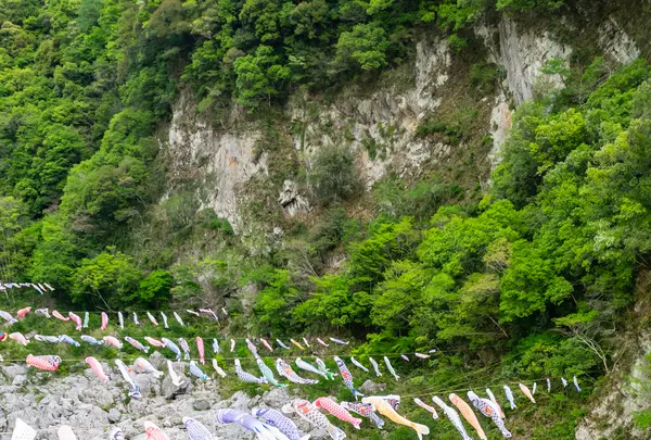 祖谷渓の小便小僧の写真・動画_image_544646