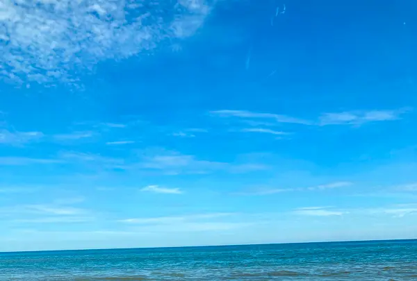 千里浜なぎさドライブウェイの写真・動画_image_544985