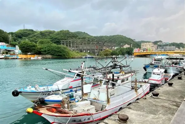 阿本活海産の写真・動画_image_545640