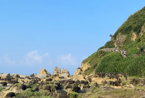 Heping Island Parkの写真・動画_image_545655