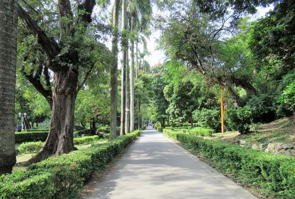 Tainan Parkの写真・動画_image_546120