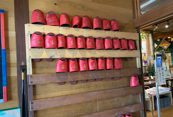 LAMP野尻湖の写真・動画_image_547378