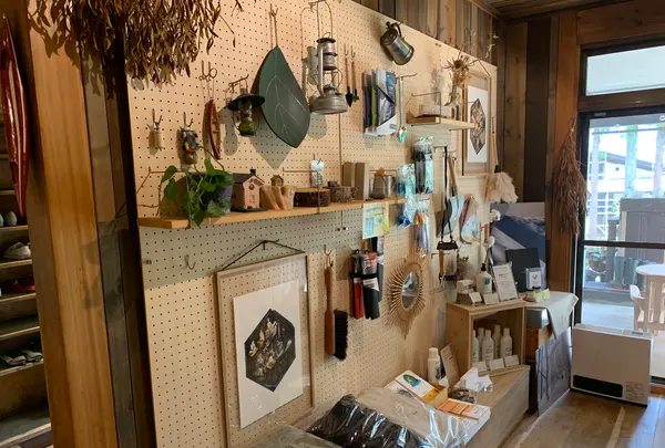 LAMP野尻湖の写真・動画_image_547384