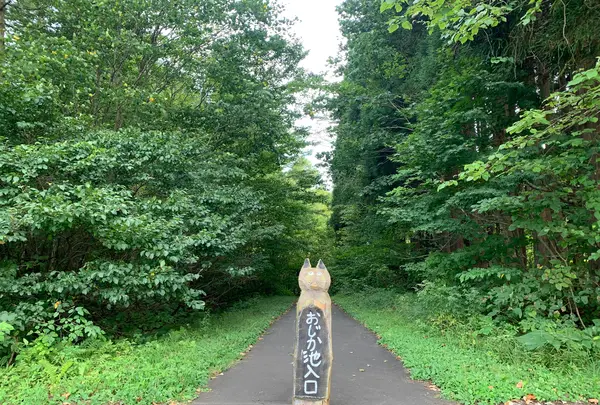 信州信濃町 癒しの森の写真・動画_image_547419
