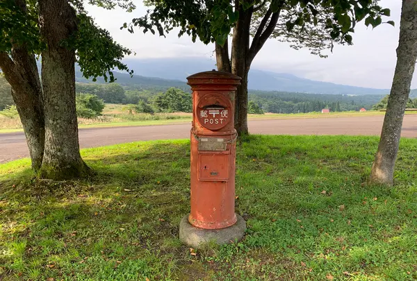 信州信濃町 癒しの森の写真・動画_image_547420