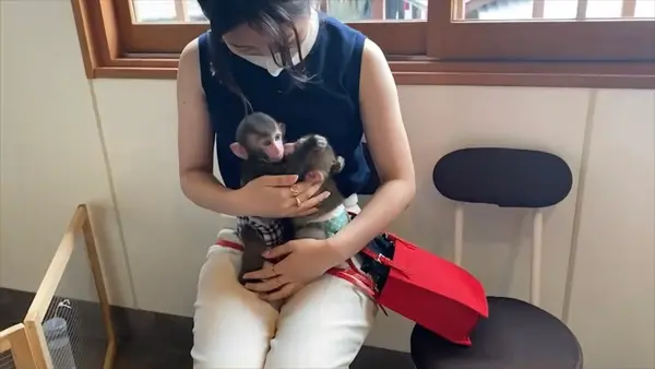 草津温泉おさるの湯もみ処～おさ湯の写真・動画_image_547530