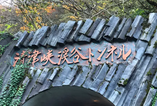 清津峡渓谷トンネルの写真・動画_image_547612