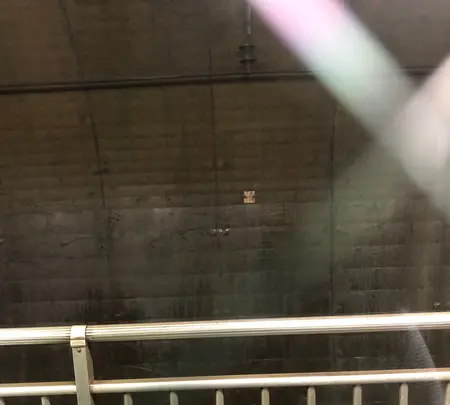 美佐島駅の写真・動画_image_547618