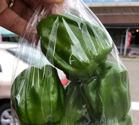 深雪の里（道の駅ゆのたに内）の写真・動画_image_547630