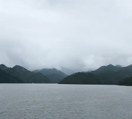 奥只見湖遊覧船の写真・動画_image_547646