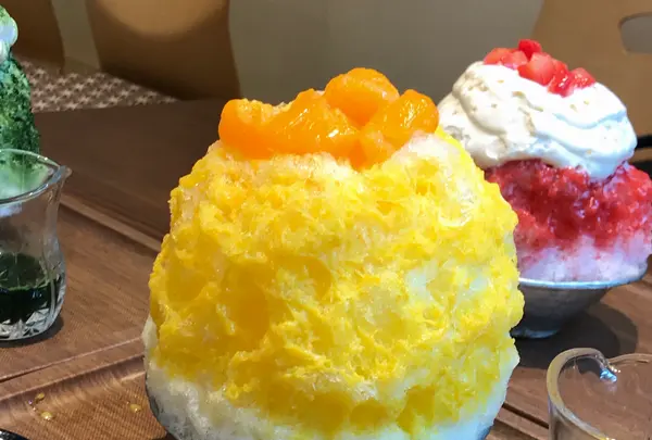 これがかき氷の写真・動画_image_547826