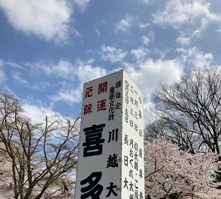 川越大師 喜多院の写真・動画_image_547869