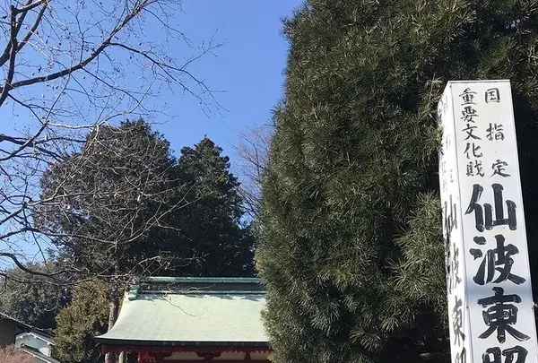 仙波東照宮の写真・動画_image_547876