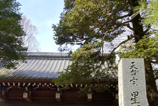 中院の写真・動画_image_547879
