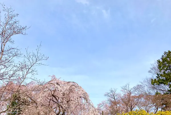 中院の写真・動画_image_547880