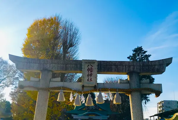 川越八幡宮の写真・動画_image_547884