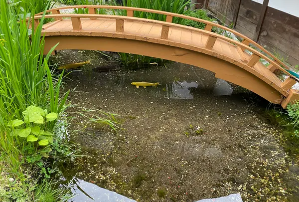 ひのき亭 牧水の写真・動画_image_547933