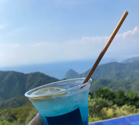 伊豆の国パノラマパークの写真・動画_image_548298