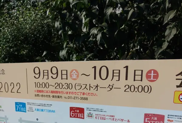 大通公園の写真・動画_image_549152