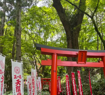 天開稲荷大明神 奥の院の写真・動画_image_549303