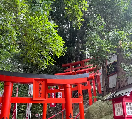 天開稲荷大明神 奥の院の写真・動画_image_549304