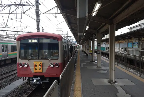 小田原駅の写真・動画_image_549869