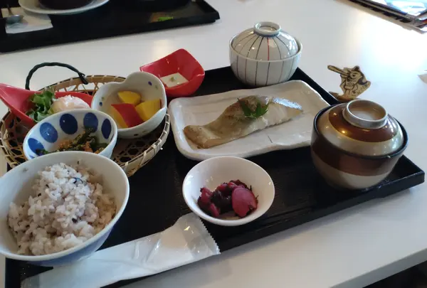 モダン湯治 おんりーゆーの写真・動画_image_549891