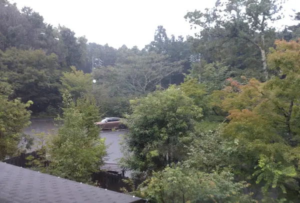 モダン湯治 おんりーゆーの写真・動画_image_549893