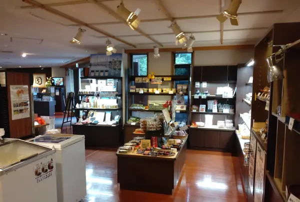 モダン湯治 おんりーゆーの写真・動画_image_549894