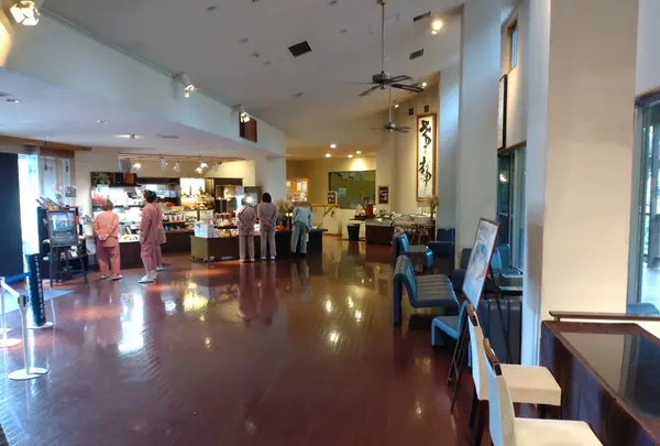 モダン湯治 おんりーゆーの写真・動画_image_549901