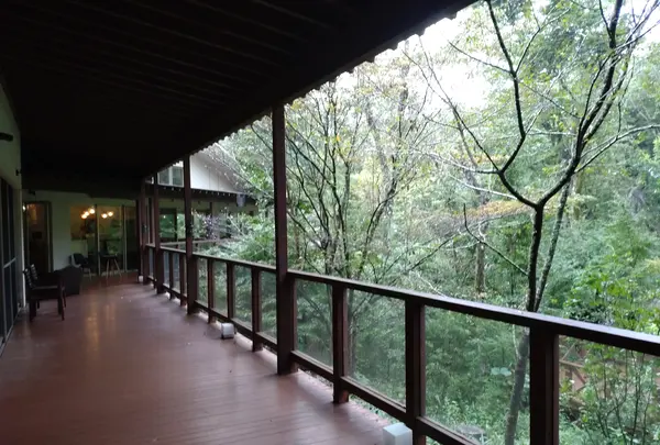 モダン湯治 おんりーゆーの写真・動画_image_549903