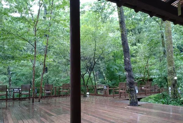 モダン湯治 おんりーゆーの写真・動画_image_549904