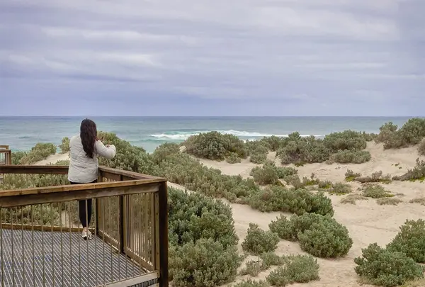 シール・ベイ保護公園の写真・動画_image_550421