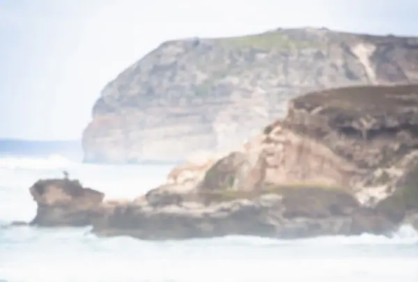 シール・ベイ保護公園の写真・動画_image_550422