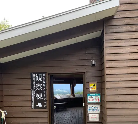 トキのテラスの写真・動画_image_550550