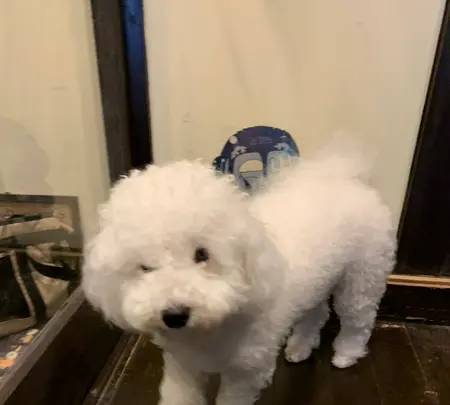 ゲストハウスくくの写真・動画_image_550712