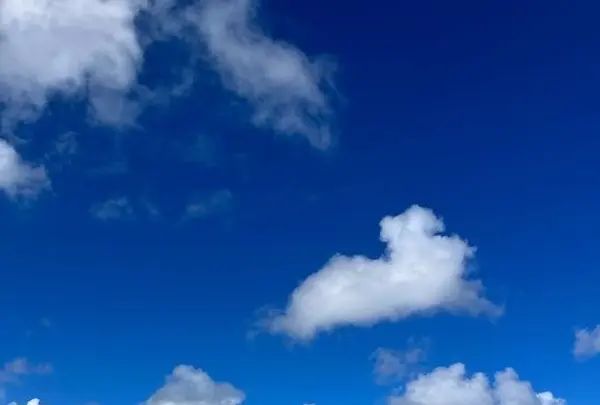 フジタ・ビーチの写真・動画_image_550823