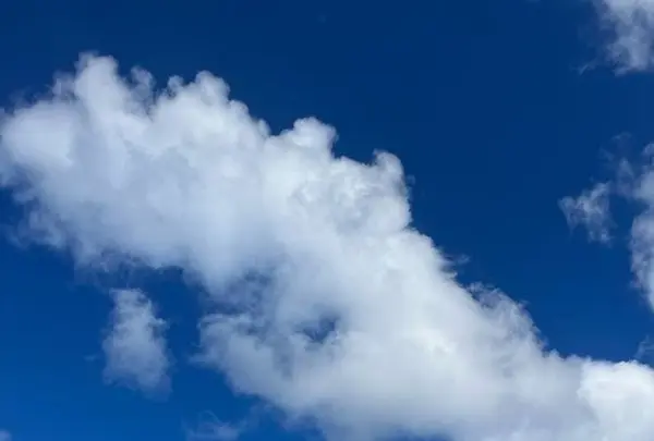 フジタ・ビーチの写真・動画_image_550826
