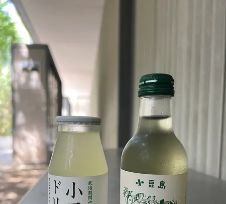 直島の写真・動画_image_551060